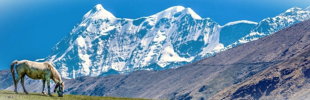 ALI BEDNI BUGYAL TREK