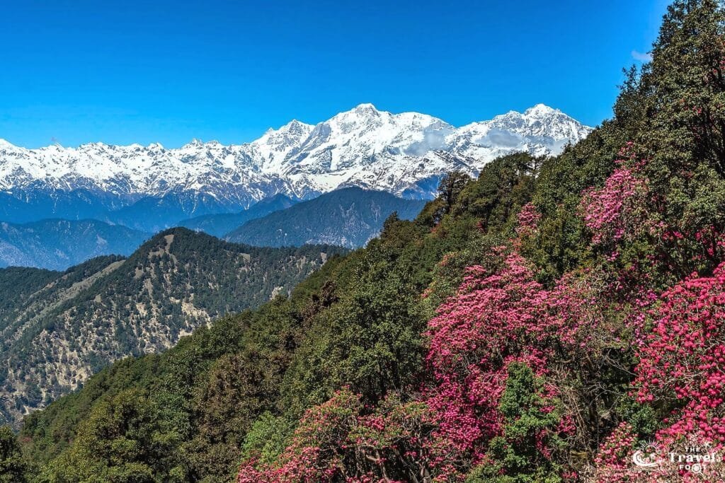 Chopta and Chandrashilla Trek