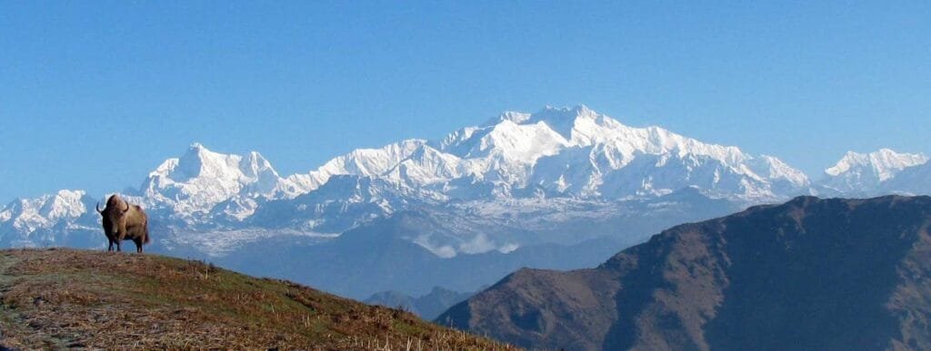 Sandakphu Phalut Trek