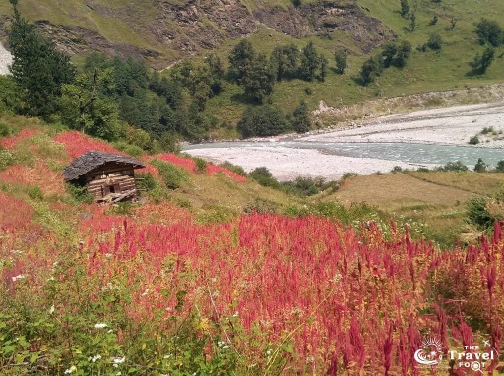 Har Ki Dun Trek - Treks In Uttarakhand - The Travel Foot