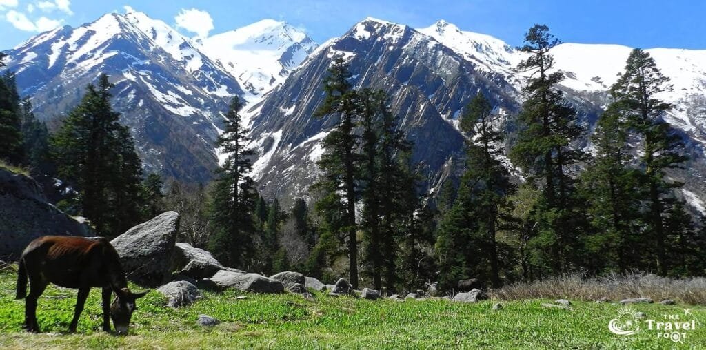 har ki doon valley