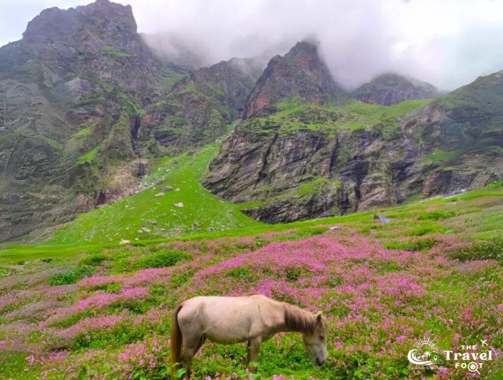 Hampta Pass trek package, Hampta pass trek route, hampta pass trek booking, hampta valley trek, hampta pass chandratal trek, hampta pass with chandratal lake trek, Hampta pass and chandratal trek, Hampta Pass Trekking