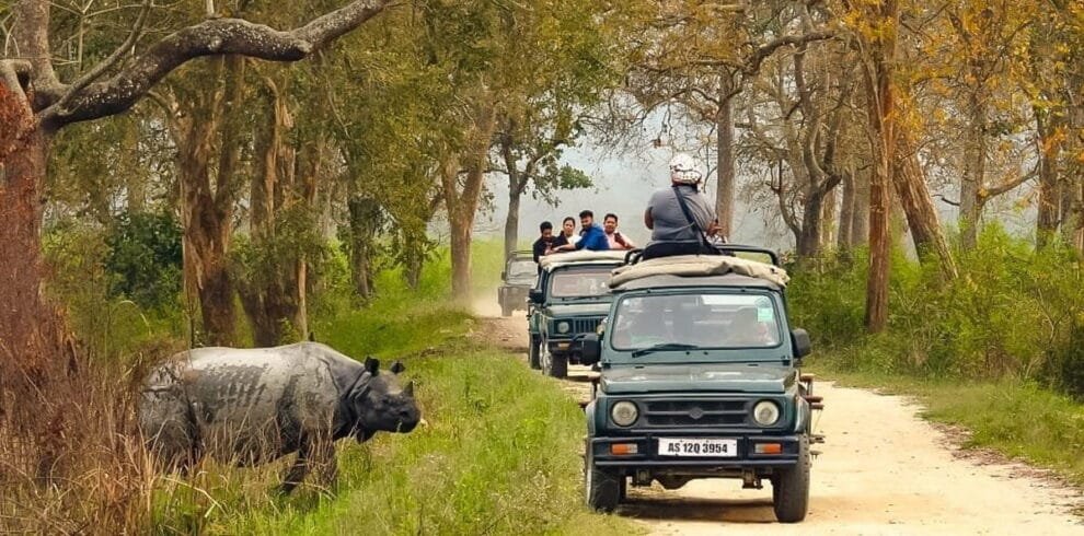 Jeep Safari in Kaziranga National Park