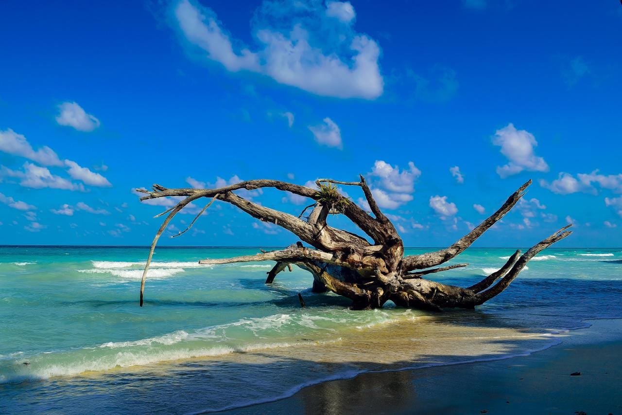 Discover Andaman